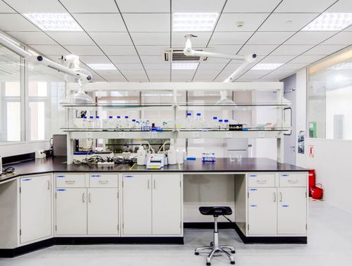 引領綠色未來 以開拓創新與專業服務，鑄就質量至上的環保咨詢新標桿